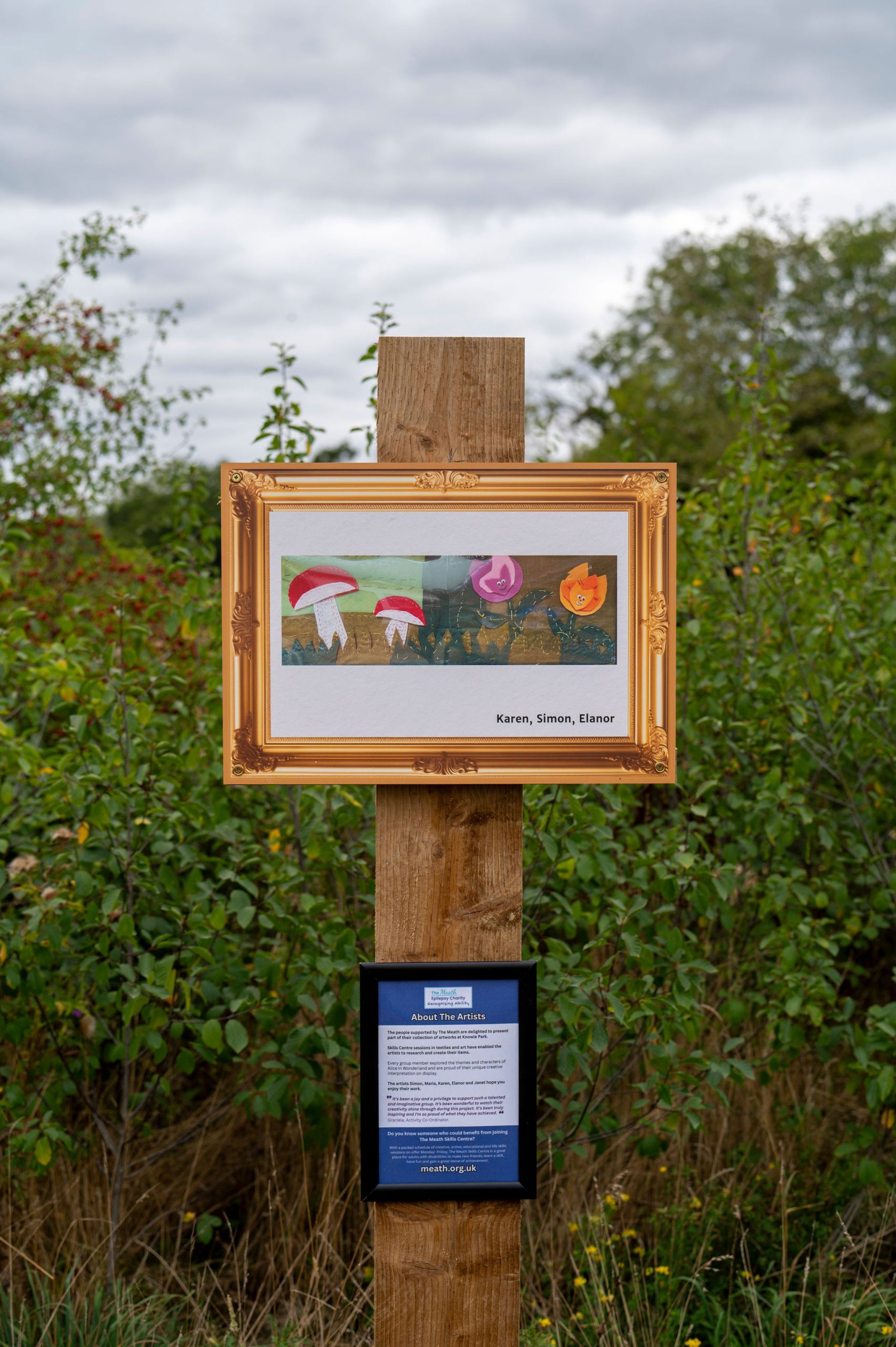 A felt tapestry of fungi