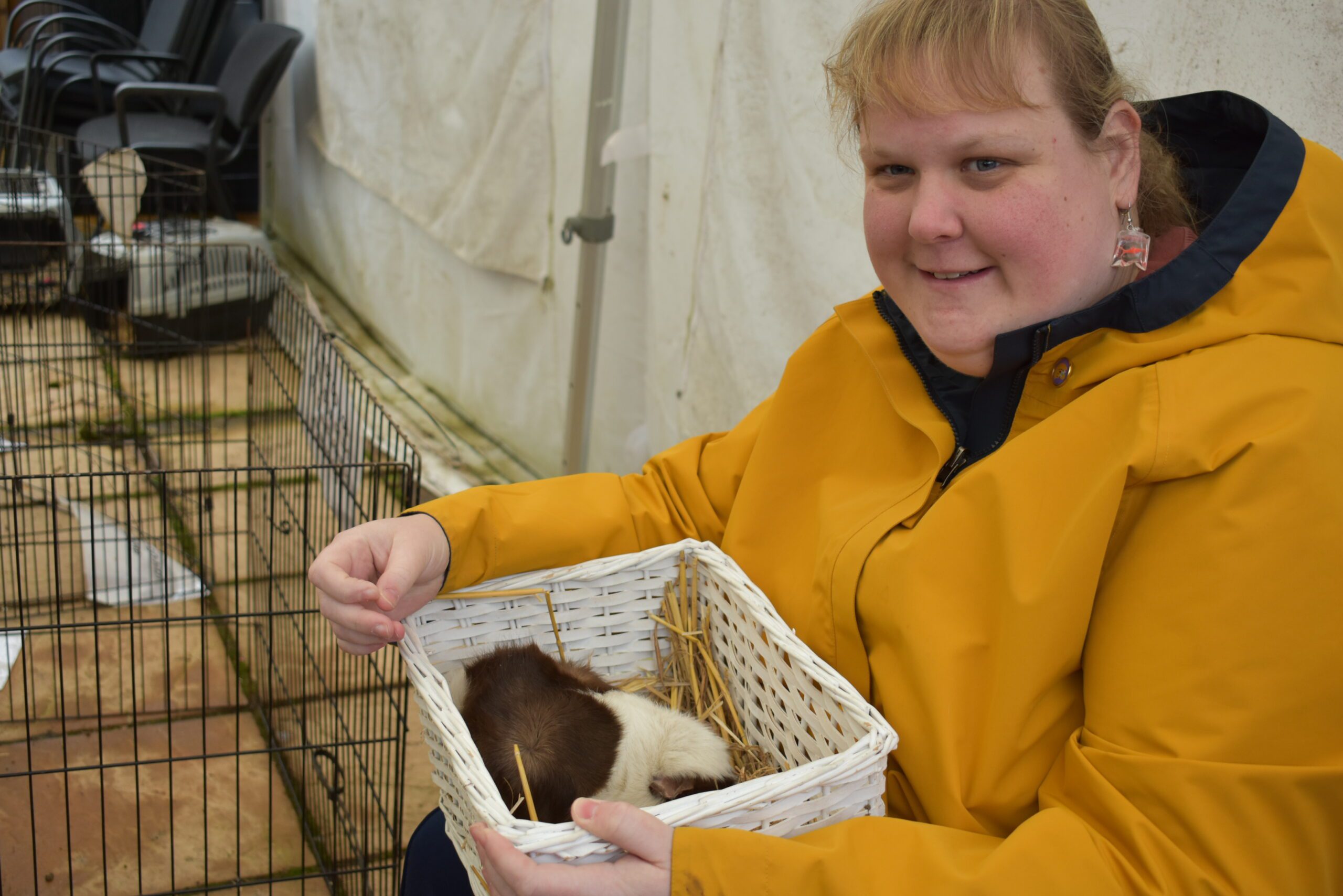A young woman wearing a yellow coat is smiling as she holds a brown and white Guinea Pig.